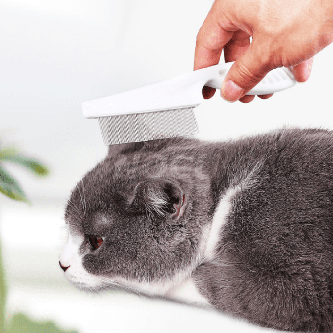 Wielofunkcyjny grzebień