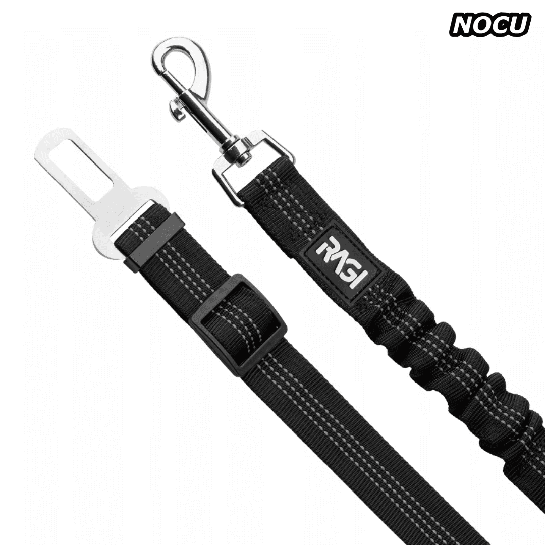 Pasy bezpieczeństwa