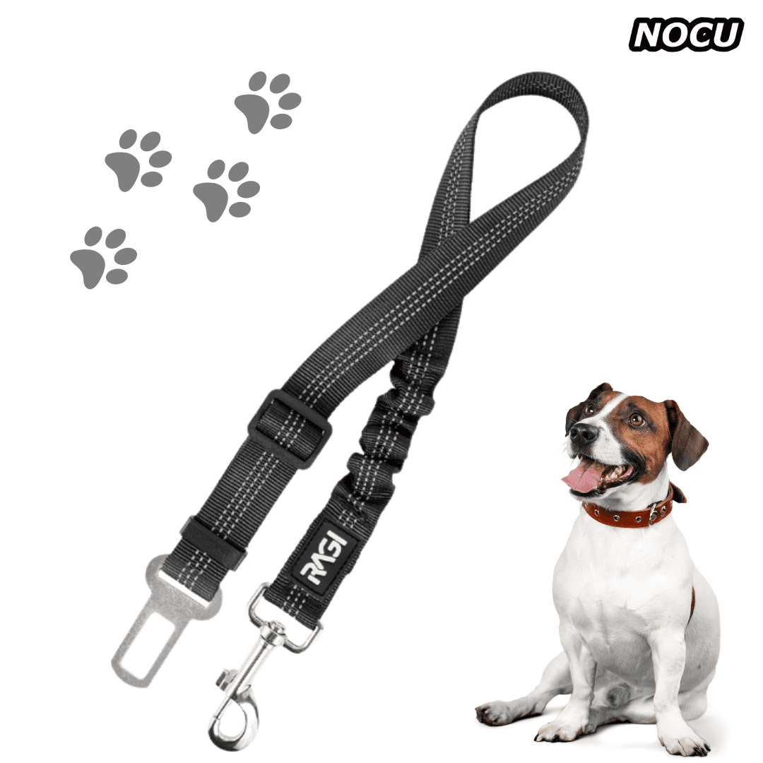 Pasy bezpieczeństwa