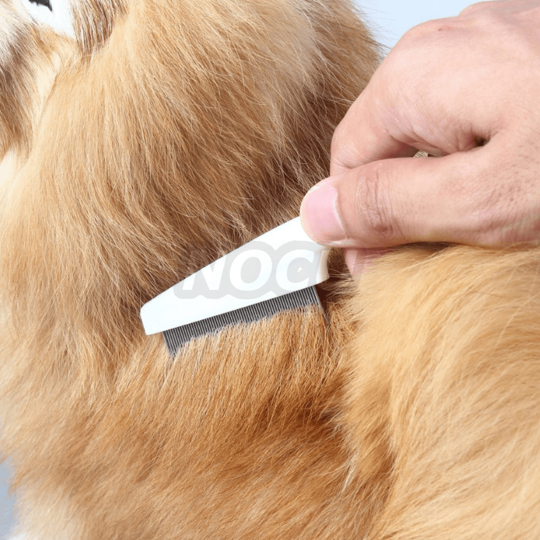 Wielofunkcyjny grzebień