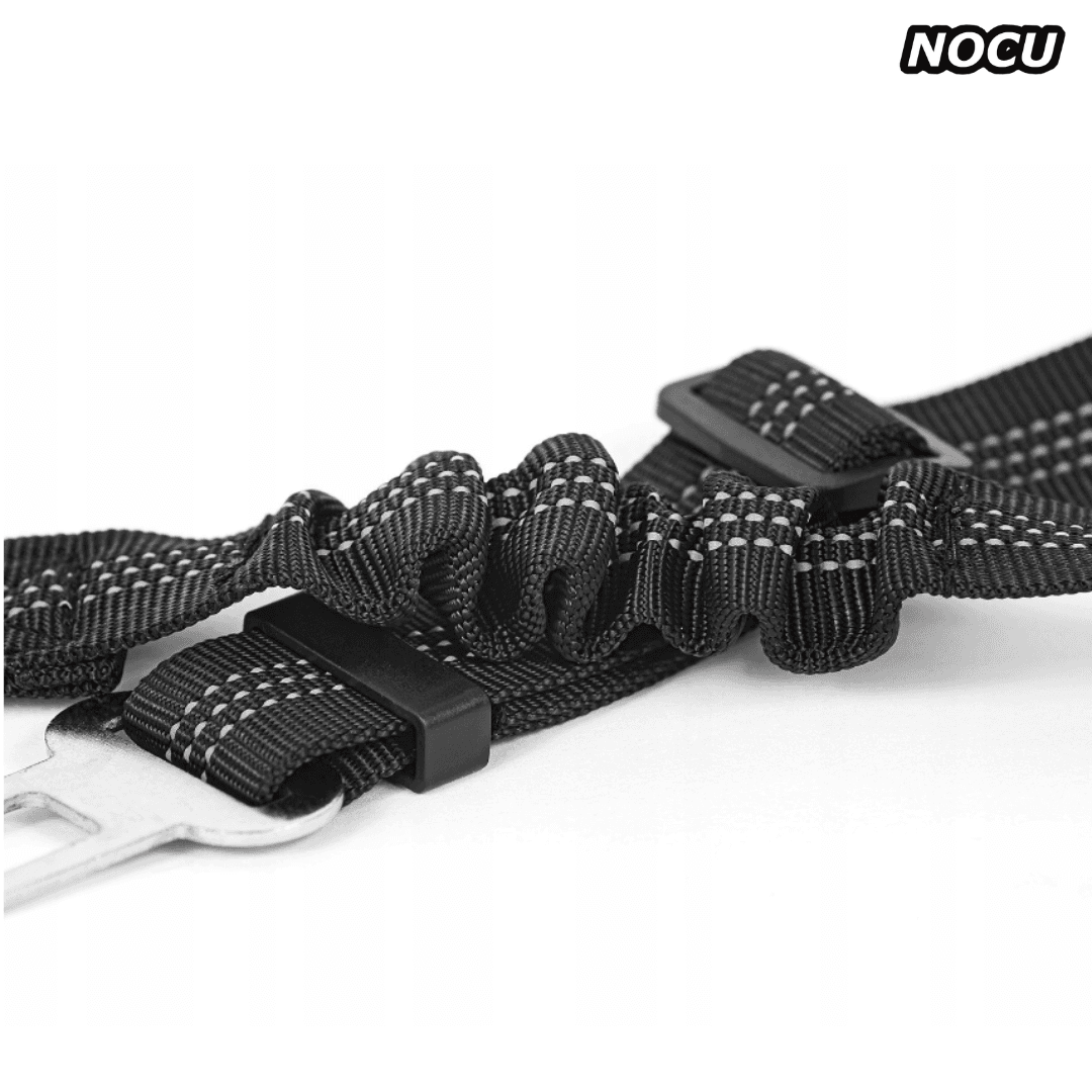 Pasy bezpieczeństwa