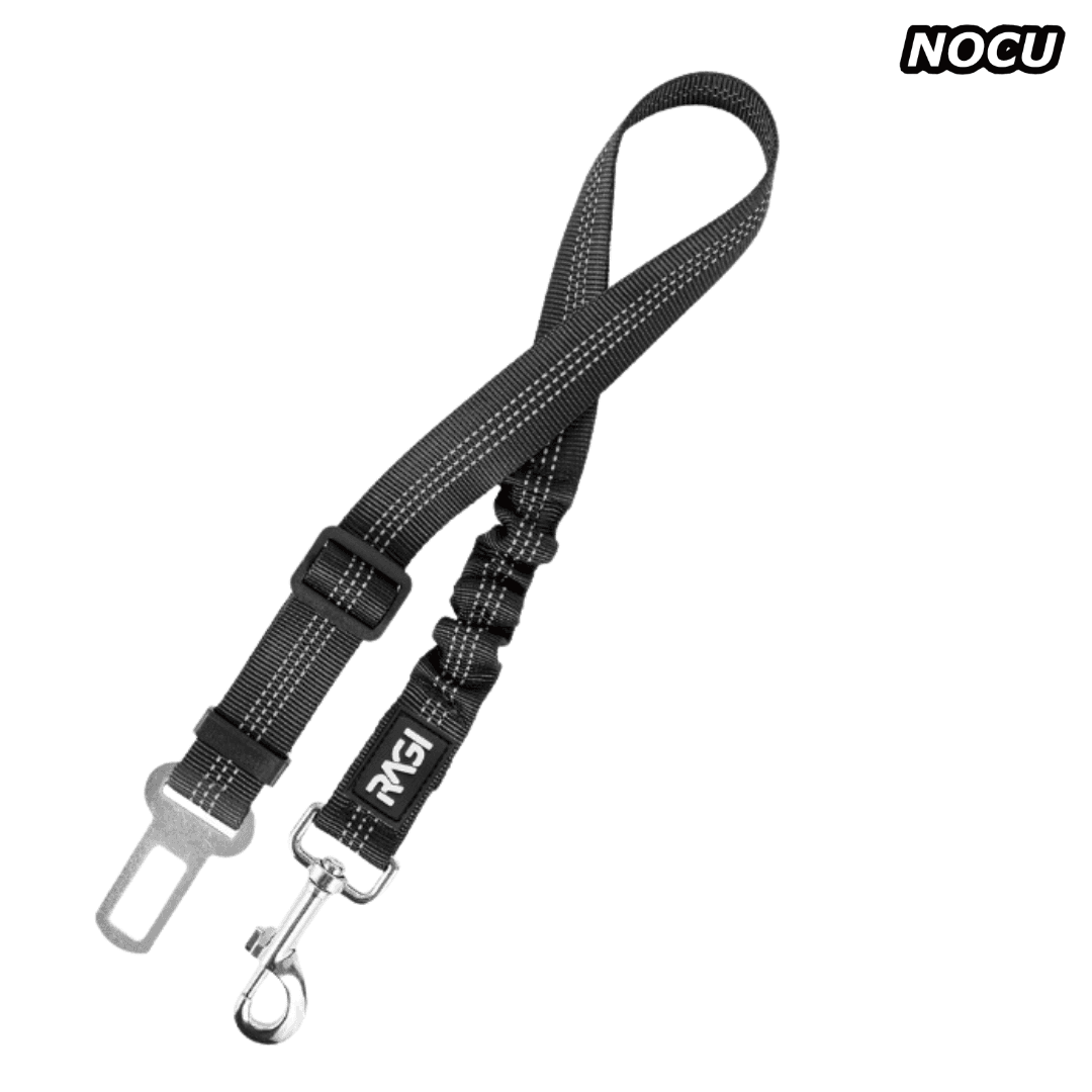 Pasy bezpieczeństwa