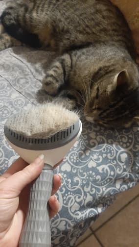 Katarzyna Wiśniewska