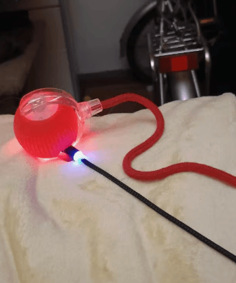 Katarzyna Wiśniewska